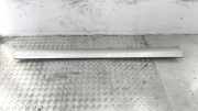 Rechter Schweller MERCEDES-BENZ CLK (C209) 320 (209.365) A2096900440
