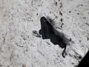 Mapsensor Opel Sintra (GM 200-GME) 281002137