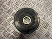 Kurbelwellenriemenscheibe RENAULT ESPACE IV (JK0/1_) 2.0 dCi (JK03, JK04)