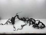 Motor Kabelbaum TOYOTA GT 86 Coupe (ZN6_) 2.0 GT (ZN6AC_, ZN6BC_)