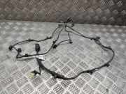 Kabelbaum Vorderen Parksensoren BMW 5 Touring (F11) 520 d 9256063