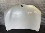 Motorhaube BMW X1 (F48) xDrive 18 d 6995664