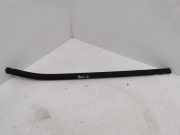 Vertikale Verkleidung an der hinteren linken Tür NISSAN JUKE (F16) 1.6 Hybrid