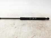 Gasfeder für Motorhaube BMW 3er (E90) 51237129190