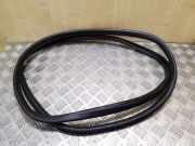 Türgummi rechts vorne Audi A6 Allroad (4G)