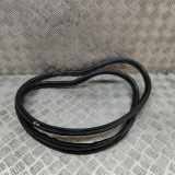 Türdichtungsgummi hinten rechts BMW 2 Active Tourer (F45) 225 xe 7298894