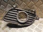 Gitter Grill vorne links MERCEDES-BENZ A (W169) A 200 (169.033, 169.333) 1698850722