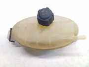 AUSGLEICHSBEHÄLTER KÜHLWASSER NISSAN PRIMASTAR Furgon (X83) 1.9 dCi 100 7700312900