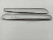 Vertikale Verkleidung an der hinteren linken Tür NISSAN X-TRAIL (T31) 2.0 82949JG00A