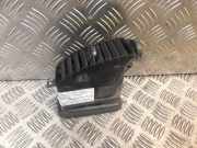 Ziergitter Nissan Pathfinder III (R51) 68750EB301