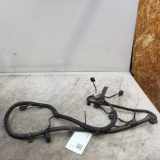 Kabelbaum Hinteren Parksensoren CITROËN C3 AIRCROSS II 1.2 Puretech 110 39108176