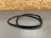 Türgummi rechts hinten Opel Insignia B Sports Tourer (Z18)