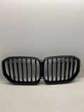 Vorderer oberer Gitter BMW X5 (G05) xDrive 30 d 7454887