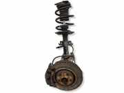 Stumpf vorne links RENAULT ESPACE V (JR_) 1.6 dCi 160 543027894R