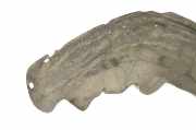 Radhaus links hinten Jeep Grand Cherokee IV (WK, WK2)