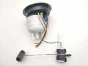 Kraftstoffpumpe Porsche Panamera 1 (970) 97020142400