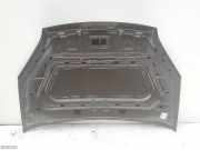 Motorhaube Fiat Doblo Van (263)