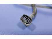 Kabelbaum Opel Signum (Z-C/S) 24438408