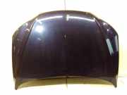 Motorhaube Hyundai Santa Fe II (CM)