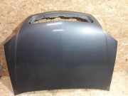 Motorhaube Opel Vectra C CC (Z02)