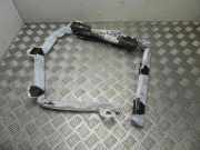 SRS Modul Dach links BMW X1 (E84) sDrive 18 d 84299117711 9117711