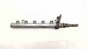 Einspritzleiste Nissan X-Trail III (T32) 175210542R
