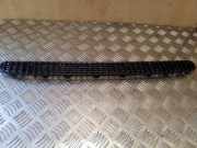 Gitter BMW 3 Cabrio (E46) 318 Ci 51138208484