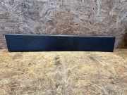 Schutzleiste Kotflügel Fiat Ducato Bus (250) 1307165070