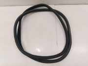 Türdichtung MG MG ZS ()