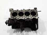 Motorblock RENAULT ESPACE IV (JK0/1_) 2.0 dCi (JK01, JK02, JK1J, JK1K)
