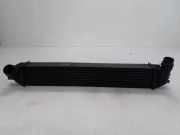 Ladeluftkühler RENAULT LAGUNA III (BT0/1) 1.5 dCi (BT00, BT0A, BT0T, BT1J) 144610001N