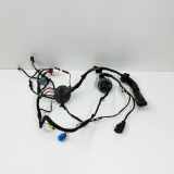 Kabel der vorderen linken Tür AUDI Q5 (FY) 2.0 TFSI quattro 80A971029G