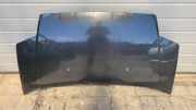 Motorhaube Citroen C5 II (RC)