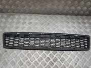 Gitter vorne unten BMW X3 (F25) xDrive 20 d 8048097