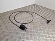 Halteband für Kraftstoffbehälter Citroen C4 Aircross ()