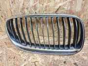 Vorderer oberer Gitter BMW 3 Cabrio (E93) 325 i 51137254970