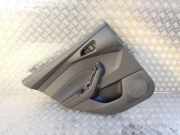 Türpolster hinten links