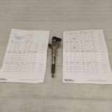 Einspritzdüse RENAULT MASTER III Furgon (FV) 2.3 dCi 100 [RWD] (FV0B, FV0C, FV0D) 166000372R