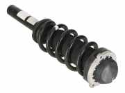Stoßdämpfer hinten links VW TOUAREG (CR7) 3.0 TDI 4motion 4M4413031Q