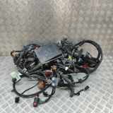 Motor Kabelbaum CITROËN C5 AIRCROSS 1.5 BlueHDi 130 9678633380 9818814480