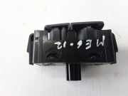 Nottaste RENAULT MEGANE III Hatchback (BZ0_) 1.5 dCi (KZ09, KZ0D, KZ1G, KZ1M, KZ1W) 252100004R