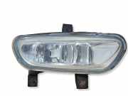 Nebelscheinwerfer vorne rechts PEUGEOT 406 (8B) 2.0 HDI 110 67720885