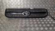 Vorderer oberer Gitter TOYOTA RAV 4 II (_A2_) 2.0 4WD (ACA21, ACA20) 0842342150