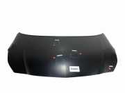 Motorhaube OPEL CORSA E 1.3 CDTI 1160083