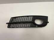 Gitter vorne unten AUDI TT (8J3) 3.2 V6 quattro 8J0807681
