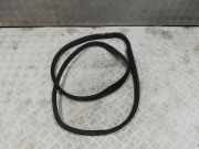 Türgummi rechts vorne Citroen C1 ()