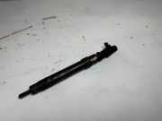 Einspritzdüse FORD S-MAX (WA6) 2.0 TDCi 9686191080