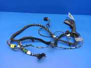 Kabel der vorderen linken Tür BMW 6 (E63) 645 Ci 6906053 14520061