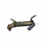 Abgaskühler Ford Transit Pritsche (F**6) 6C1Q9F464AE