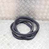 Türdichtungsgummi hinten links VW TIGUAN (AD1) 2.0 TDI 4motion 5NN867913